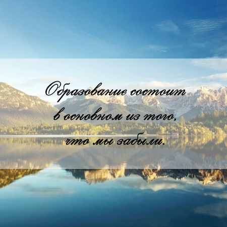 цитата об образовании и реферате